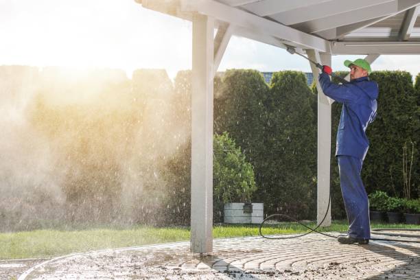 Best Soft Washing  in Watkins Glen, NY